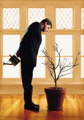 Man Watering a Plant